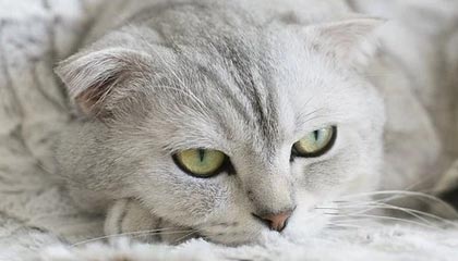 九游电子竞技-《绝地求生》新武器上线：性能测试与实战应用，绝地求生即将迎来新武器